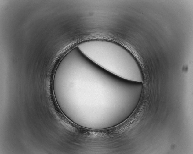 X0000100470442200806130758