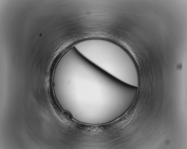 X0000100470443200806130758
