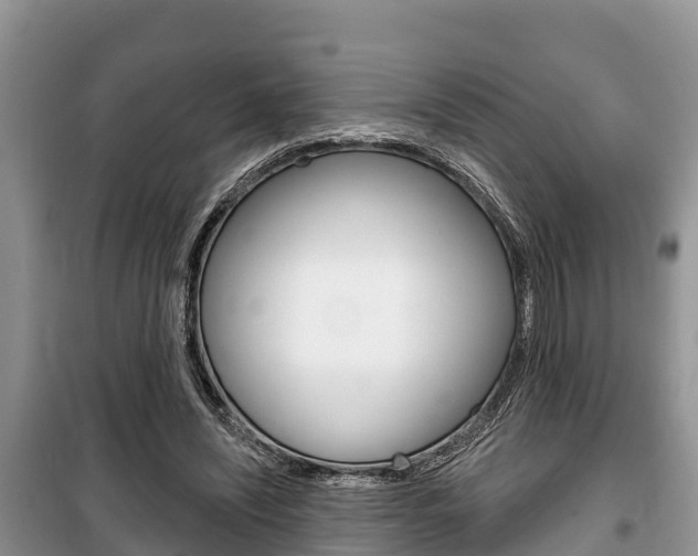 X0000100470444200806130758