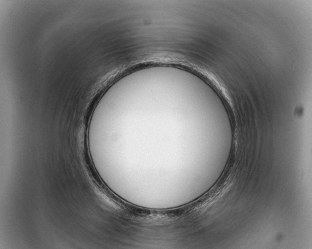X0000100470445200806130758