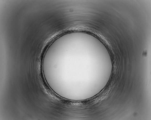 X0000100470446200806130758