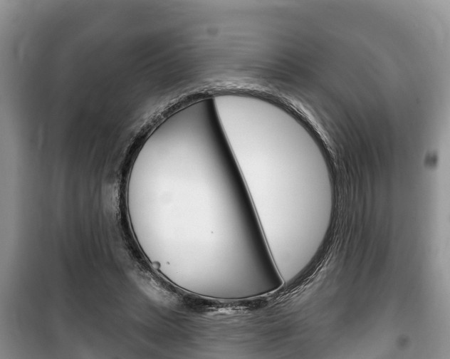 X0000100470447200806130758