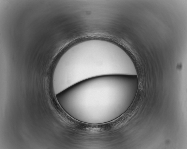 X0000100470448200806130758