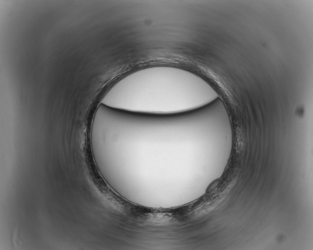 X0000100470451200806130758