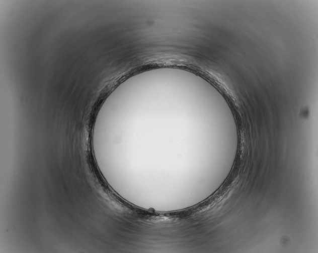 X0000100470453200806130758