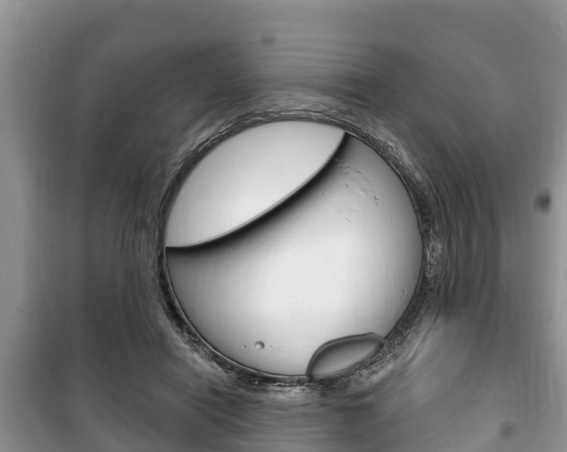 X0000100470454200806130758