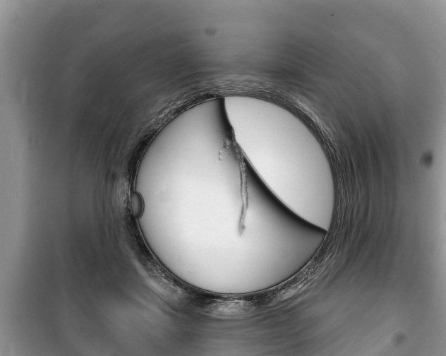 X0000100470459200806130758