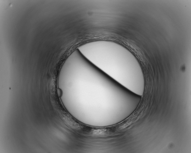 X0000100470461200806130758