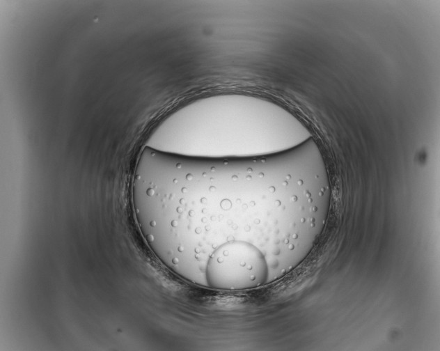 X0000100470462200806130758