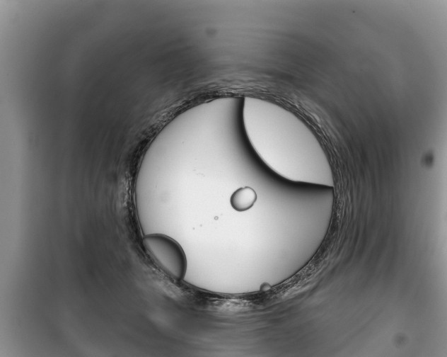 X0000100470463200806130758