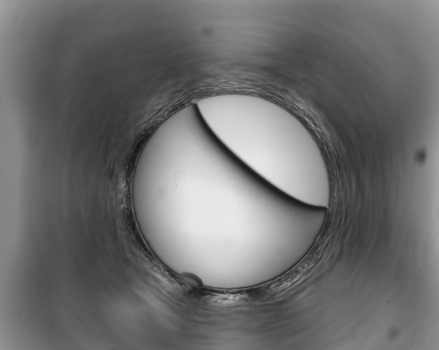 X0000100470465200806130758