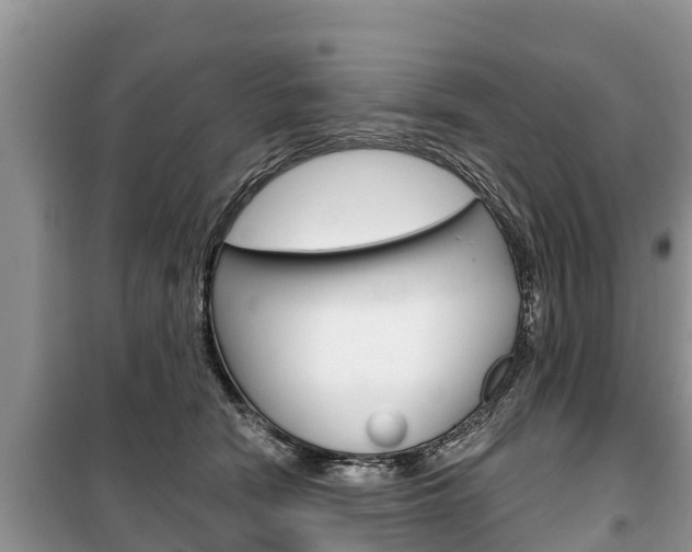 X0000100470466200806130758