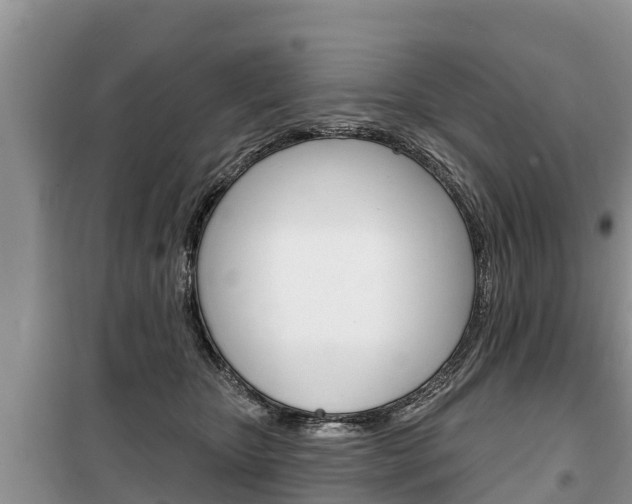 X0000100470467200806130758