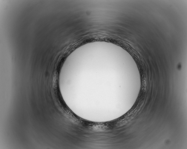 X0000100470468200806130759