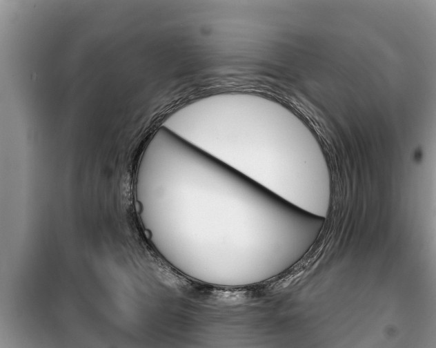X0000100470469200806130759