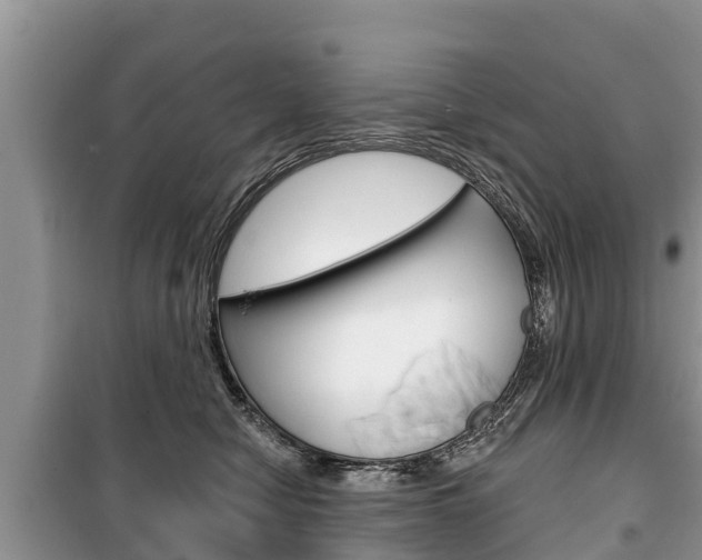 X0000100470470200806130759