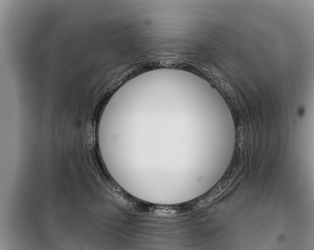 X0000100470471200806130759