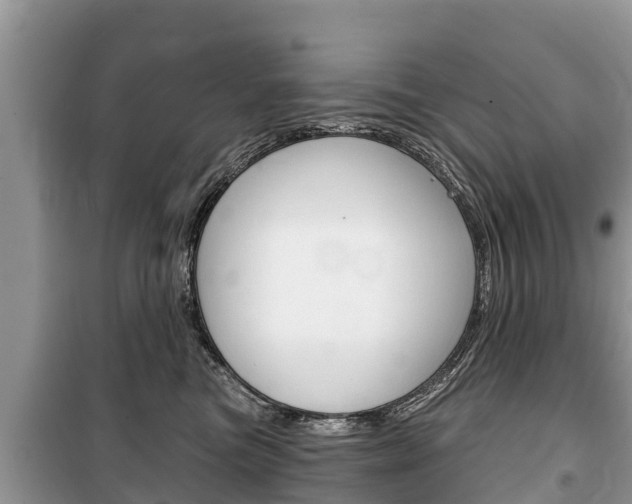 X0000100470473200806130759
