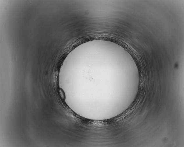 X0000100470475200806130759
