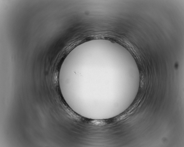 X0000100470477200806130759