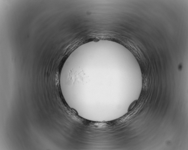 X0000100470478200806130759