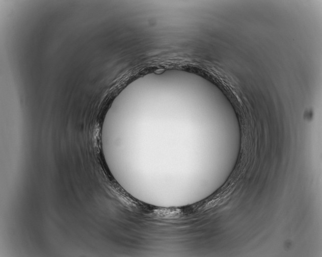 X0000100470480200806130759