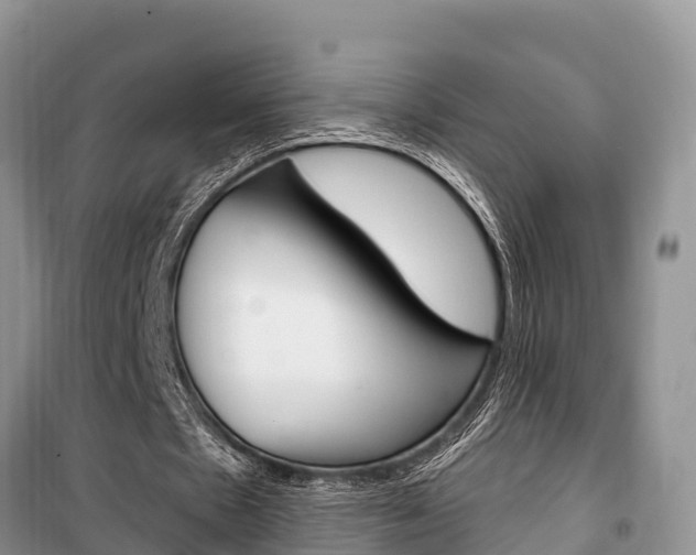 X0000100470481200806130758