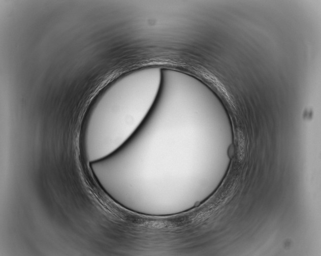 X0000100470482200806130758