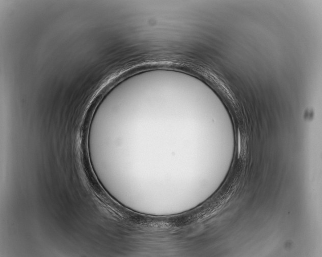 X0000100470483200806130758
