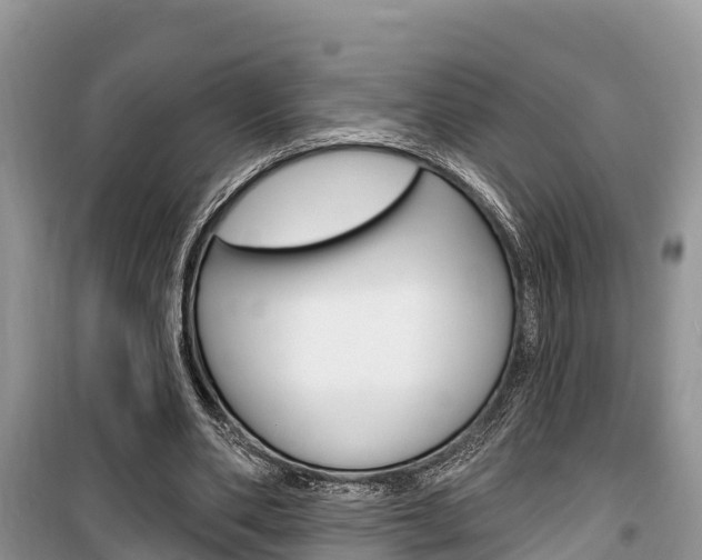 X0000100470486200806130758