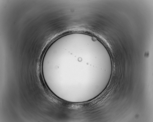 X0000100470487200806130758