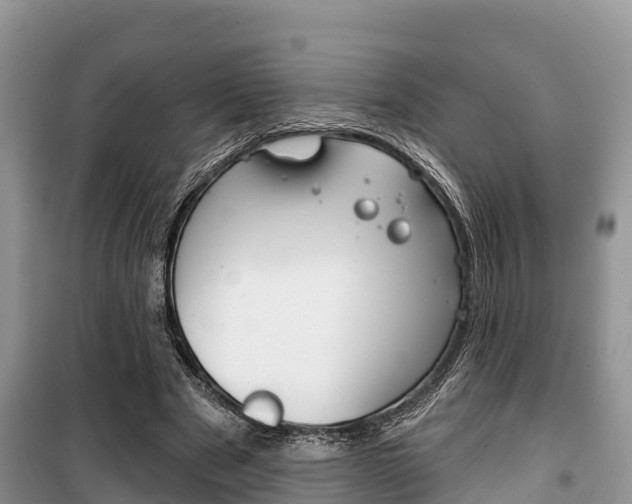 X0000100470489200806130758