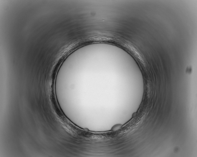 X0000100470490200806130758