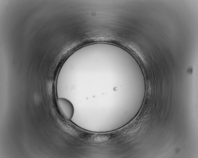 X0000100470491200806130758