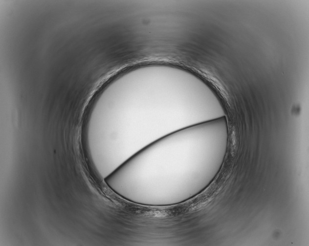 X0000100470492200806130758