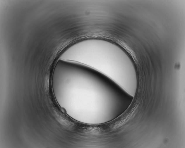 X0000100470493200806130758
