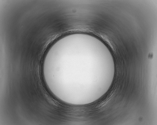 X0000100470495200806130758