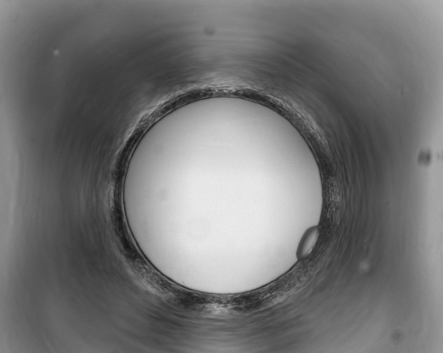 X0000100470496200806130758