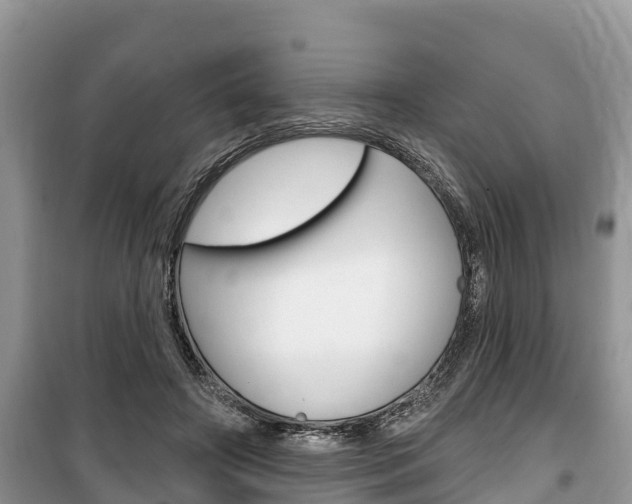 X0000100470498200806130758