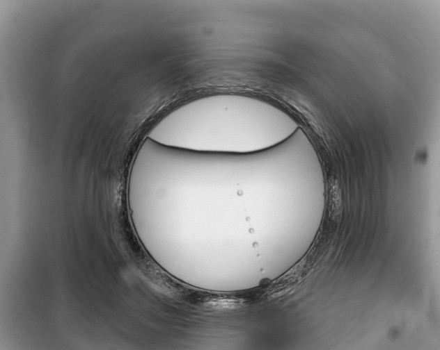 X0000100470499200806130758