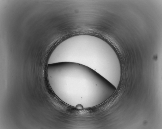 X0000100470501200806130758