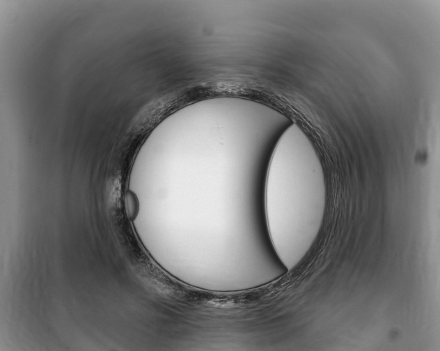 X0000100470502200806130758
