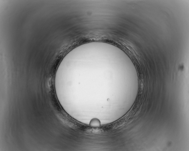 X0000100470503200806130758