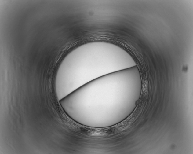 X0000100470504200806130758
