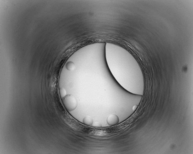 X0000100470507200806130757