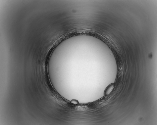 X0000100470508200806130757