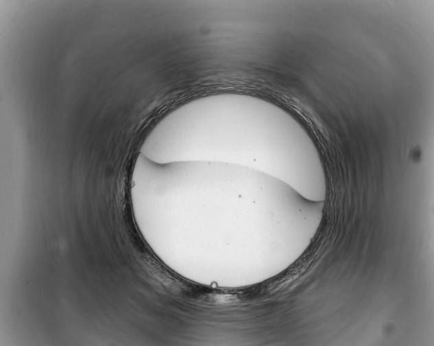 X0000100470509200806130757
