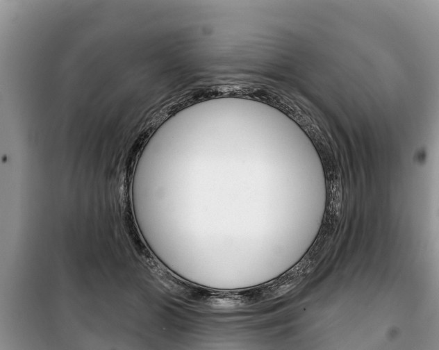 X0000100470510200806130757
