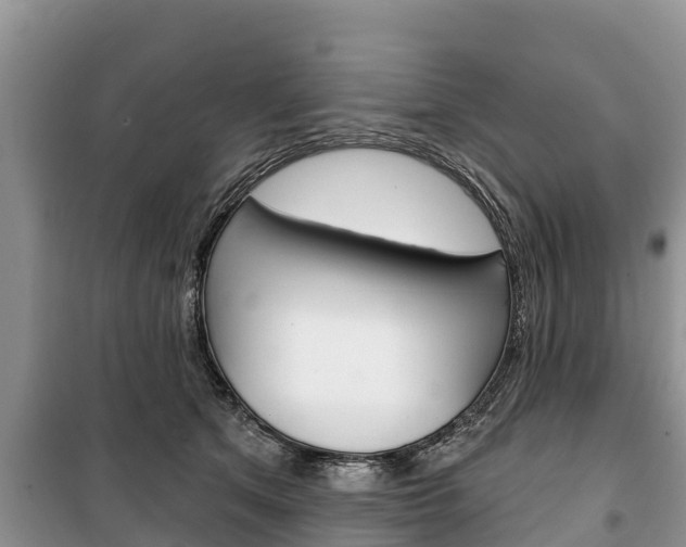 X0000100470513200806130757