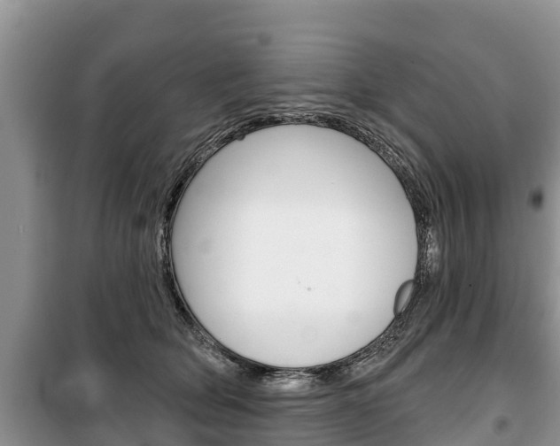 X0000100470514200806130757